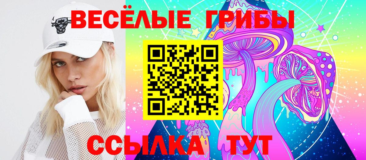 Галлюциногенные грибы Psilocybe  Галлюциногенные грибы Psilocybe  Вход с VPN  Железноводск 